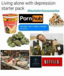 living-alone-with-depression-starter-pack-dankstorthsmasm-p[...].png