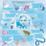 immortality-roadmap-03-cryonics-01[1].jpg