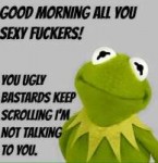 b53b56041d6d28d37828317f29da6ca4--kermit-good-morning.jpg