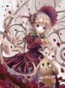 Shinku-with-Kun-Kun-rozen-maiden-7405996-370-500