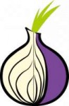 tor-logo-large-89ac1c118b86d69953fff1ab31128550fcce9a74162e[...].png