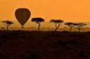 AFP-GettyTOPSHOT-KENYA-ANIMALS-MIGRATION