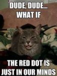 what-if-red-dot-is-just-in-our-minds.jpg