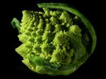 FractalBroccoli.jpg