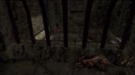 darksoulsyourfate.webm