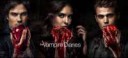 the-vampire-diaries-20120112073042377.jpg