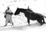 BundesarchivBild101I-215-0366-03A,Russland,Soldat,PferdimWi[...].jpg