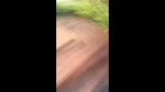 16855237263413.mp4