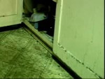 MISS SHAYE SAINT JOHN - TRIGGER 28 MY MOUSY.mp4