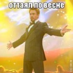 оттаял по весне