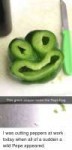 this-green-pepper-looks-like-pepe-frog-i-was-cutting-251733[...].png