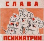 IMG0834.JPG