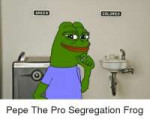 green-colored-pepe-the-pro-segregation-frog-3848519.png