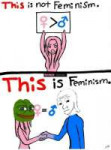 feminism pepe wojak.png