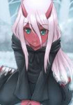 Zero.Two.(Darling.in.the.FranXX).full.2303346.jpg