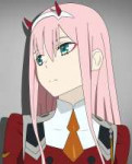 zero-two-darling-in-the-franxx--anime-darling-in-the-franxx[...].jpg