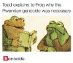 toad-explains-to-frog-why-the-rwandan-genocide-was-necessar[...].png