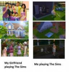 Thesimsplayers.jpg