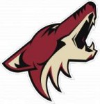 1200px-ArizonaCoyotes.svg.png