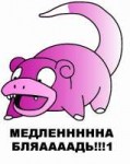 slowpoke.jpg