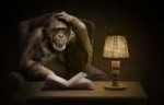 primate-chimp-reading-a-book.jpg