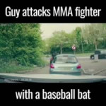 ripsave - Guy attacks MMA fighter with baseball bat - 72690[...].mp4