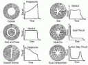 PropellantGrains (1)