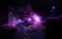 Galaxy Cat D  Tumblr  We Heart It