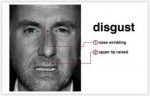 microexpressions-disgust.jpg