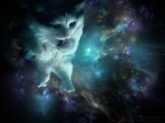 space-cat-wallpapers-desktop-background-For-Desktop-Wallpap[...].jpg