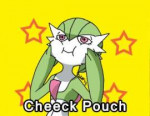 Cheeck Pouch.jpg