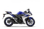 14590703106010-Yamaha-YZF-R3-2015-xl.jpg