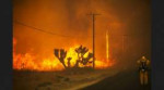 A firefighter watches as the Blue Cut Fire roars near Highw[...].jpg