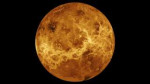 imagesvenus20191211venus20191211-16.jpeg