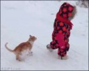 кот прыгает на ребенка.gif