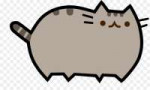 kisspng-whiskers-i-am-pusheen-the-cat-i-am-pusheen-the-cat-[...].jpg