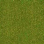 grass22048nostripe.png