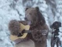 singing bear