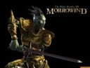 elderscrolls3morrowindthe-10