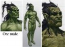 OrcMale