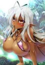 yande.re 298447 bikini cleavage elf erectnipples fullmetald[...]