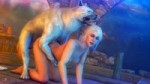 ciri dog 2.webm