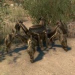 ON-creature-DancingSpider.jpg