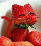 fruitcat.jpg