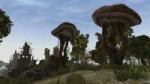 Morrowind 1252.jpg