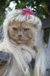 Cats In Wigs (13).jpg