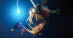 finding-nemo-disney-2003-dory-marlin-angler-fish-mcdfineec0[...].jpg