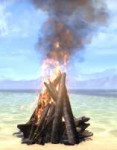 New-Life-Bonfire.jpg