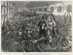 mammoth-tusks-are-imported-illustrated-london-news-ltdmar.jpg