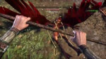 The Elder Scrolls Online Tamriel Unlimited - Harpy Moan.mp4